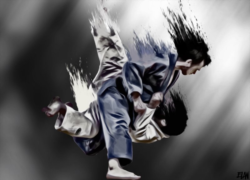Дзюдо картинки