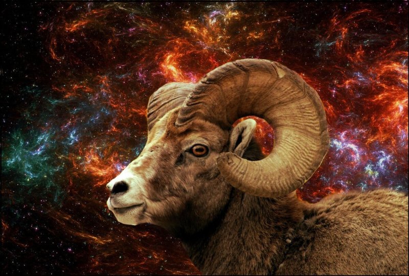 Овен Зодиак