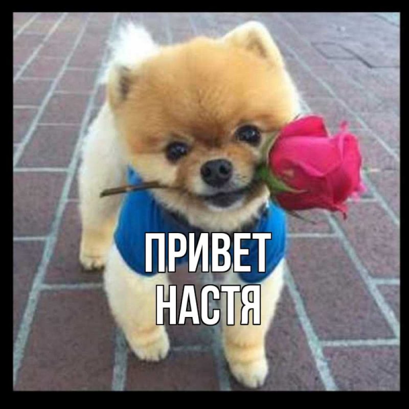 Привет Даша