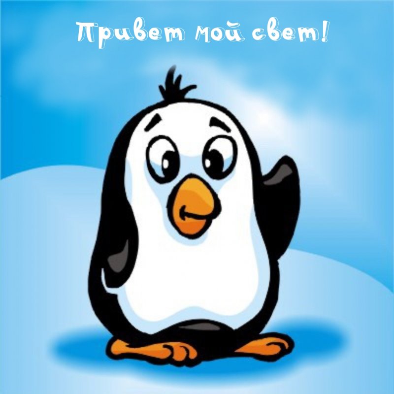 Добрый Пингвин