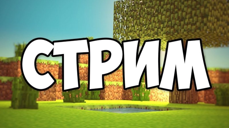 Стрим по майнкрафту