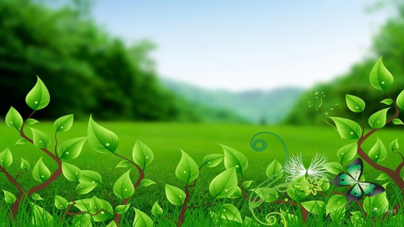 Фон природа