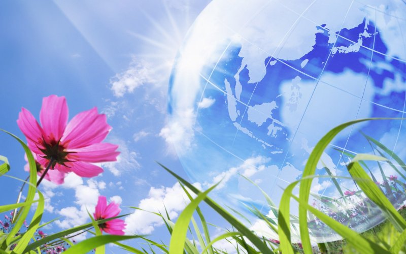 Цветы и небо