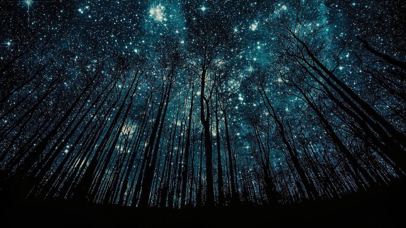 Обои на рабочий стол звездное небо