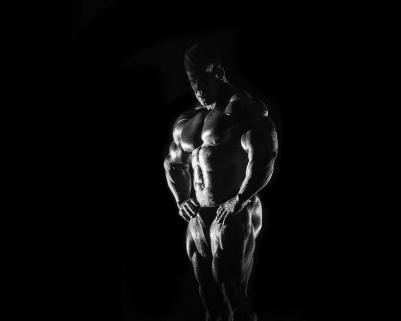 Катлер бодибилдинг