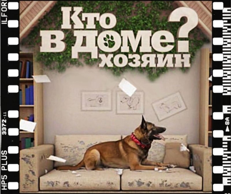 Кто в доме хозяин