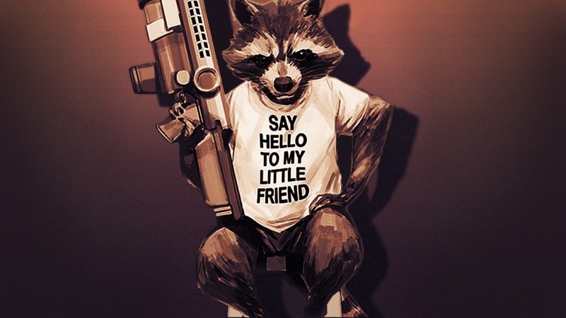 Боевой енот