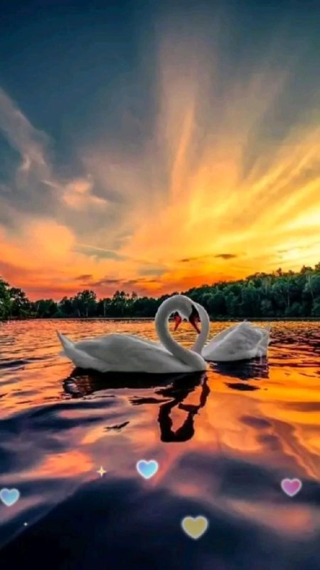 Картина для привлечения любви