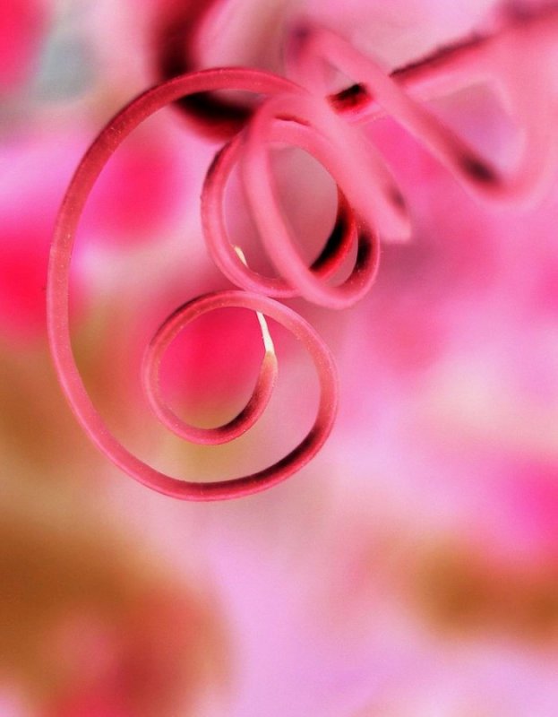 Заставка на замужество