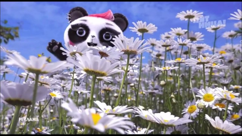 Канал пятница Панда и ромашки