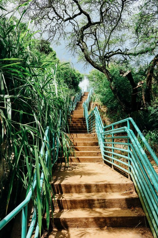 Красивая лестница природа