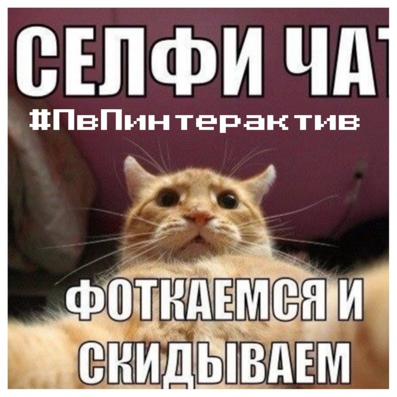 Чат картинка в чат