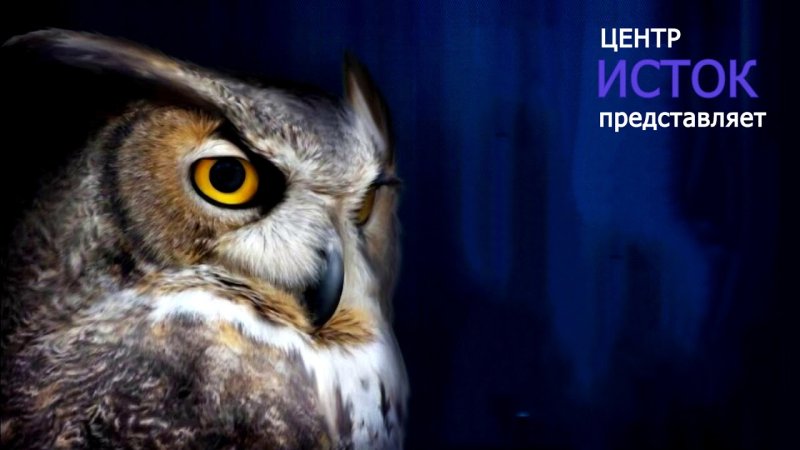 Интеллектуальная игра что где когда