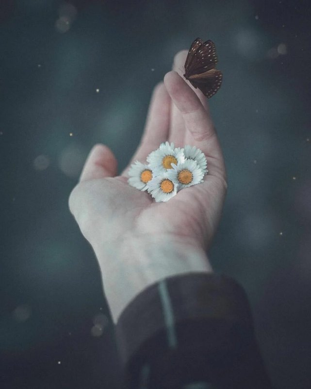 Интересные картинки со смыслом на аву