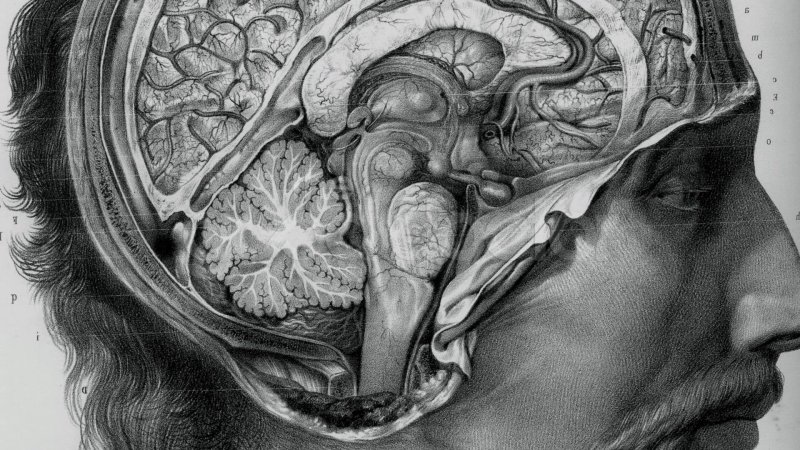 Хороший доктор заставка сериала