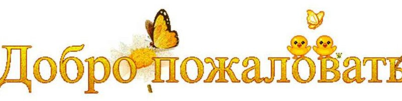 Добро пожаловать!