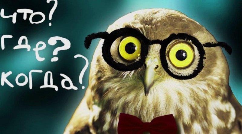 Прикольные Совы