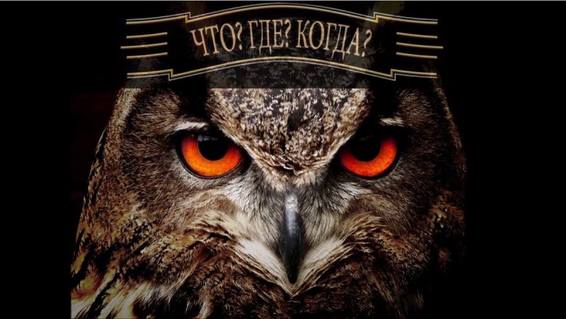 Заставка Сова