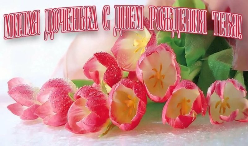 ЕС днем рождени дочери