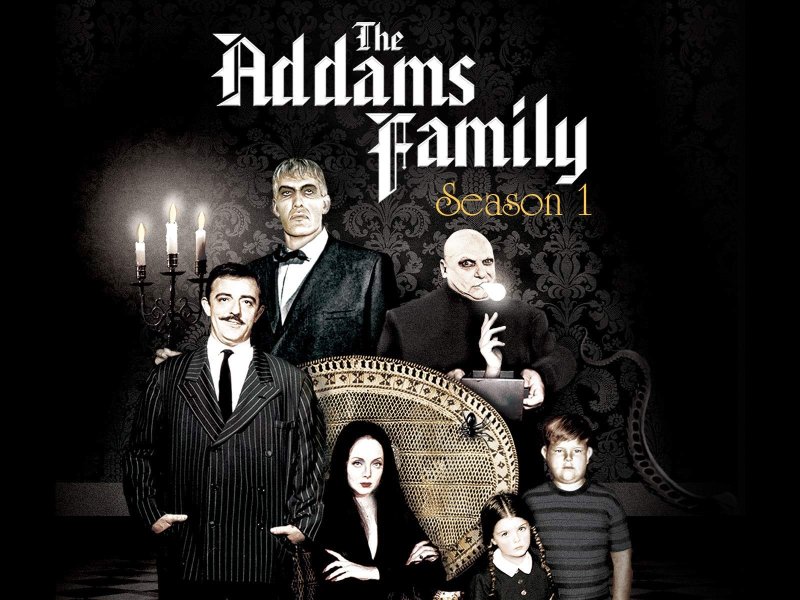 Семейка Аддамс (the Addams Family) 1991 г