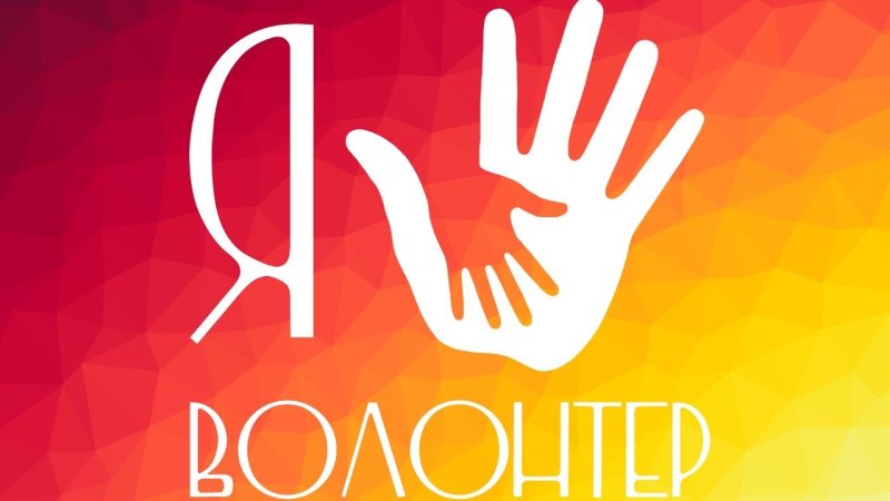 Волонтеры обложка