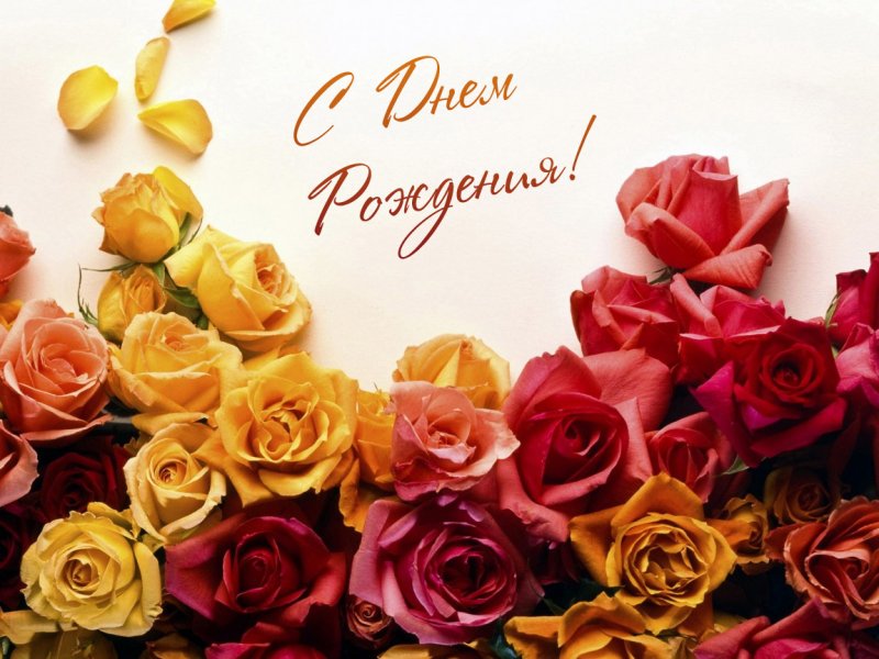 Открытка цветы