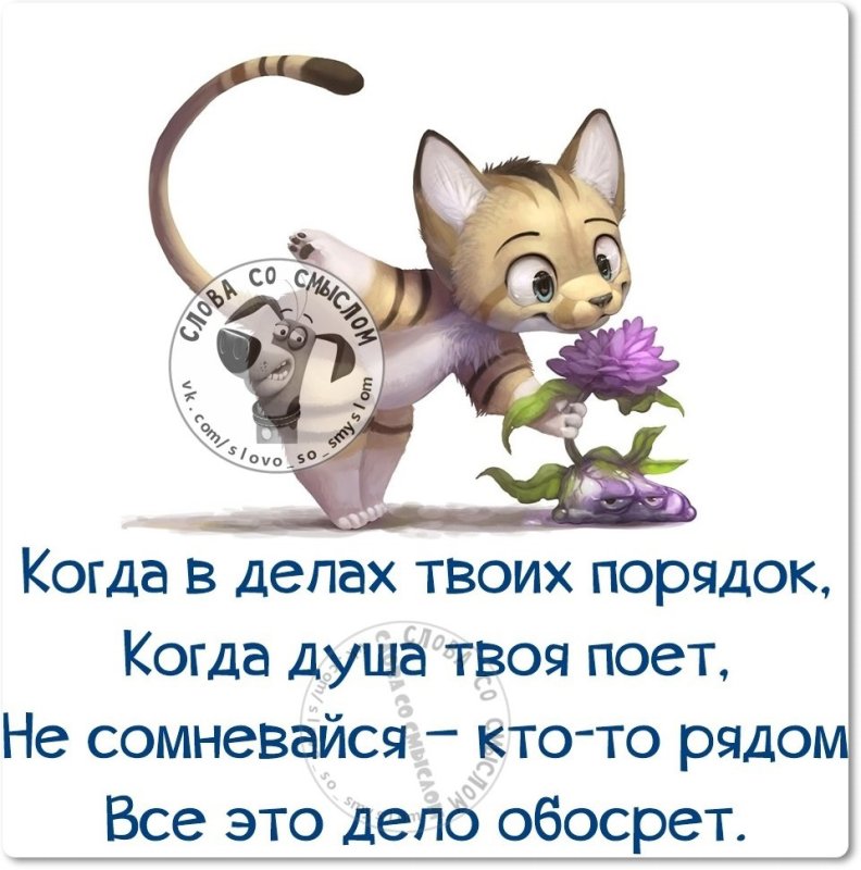 Прикольные статусы для ватсапа