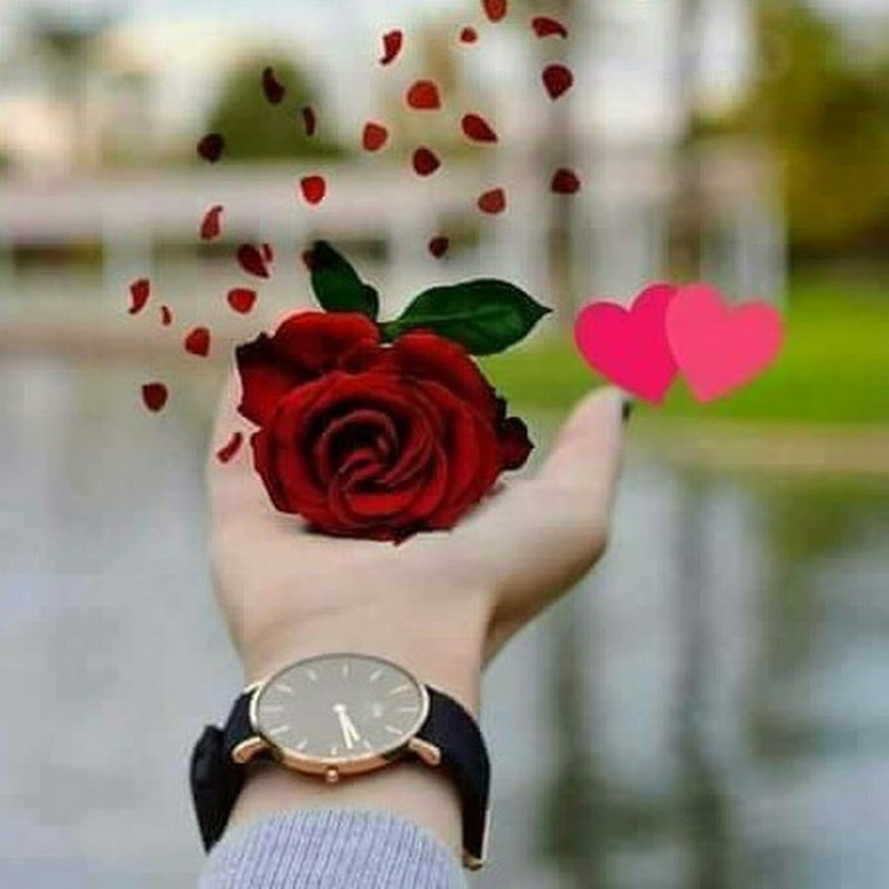 Красивые цветы на аватарку