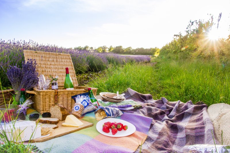 Фотосессия пикник на природе