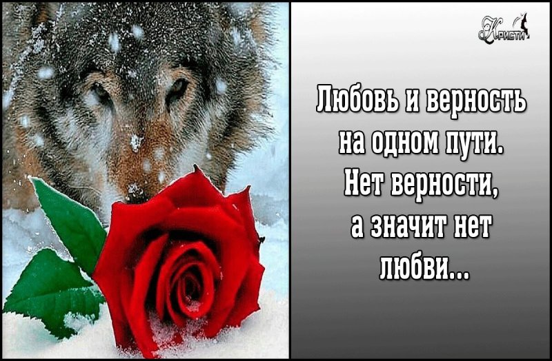 Статусы про верность