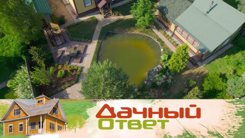 Дачный ответ на НТВ