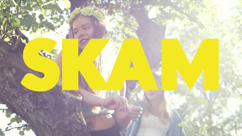 СКАМ картинка