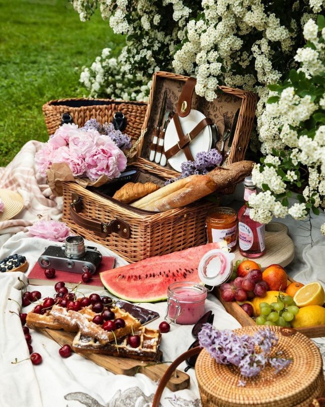 Красивый пикник на природе