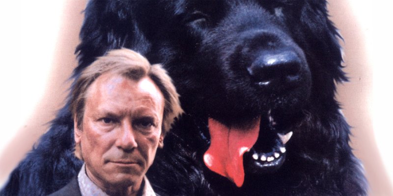 Друг фильм 1987