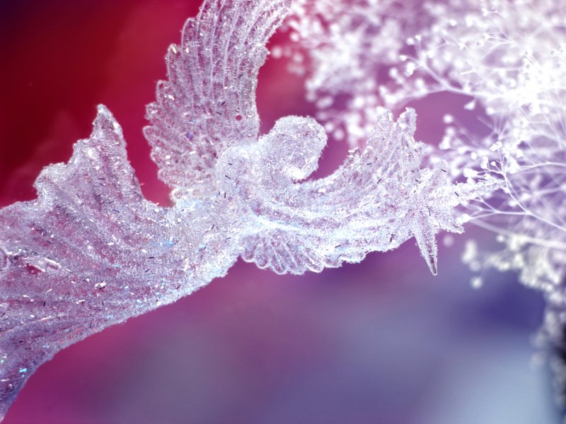 Зимние цветы