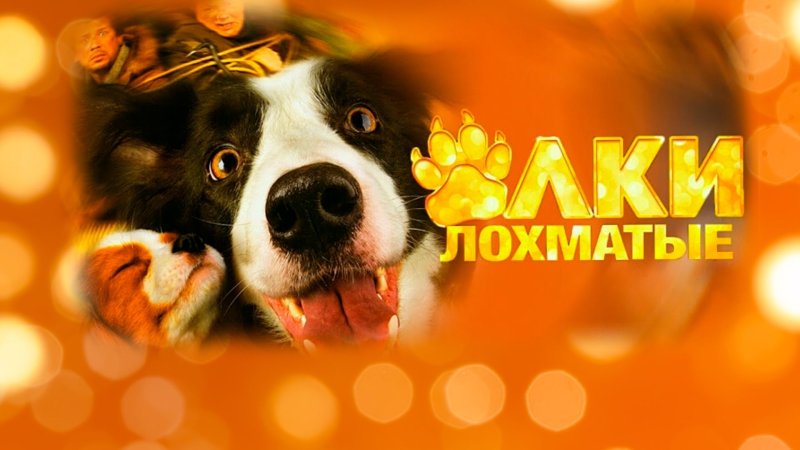 Елки лохматые