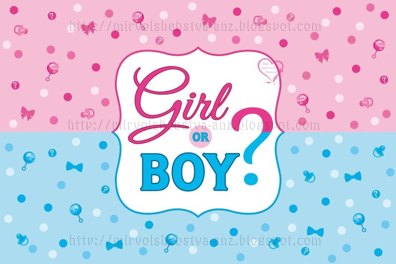 Баннер мальчик или девочка
