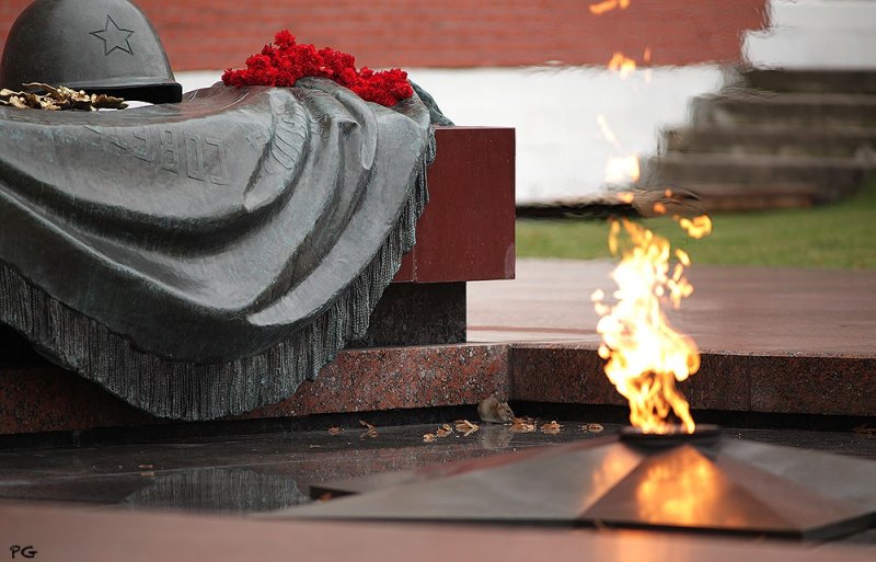 ВОВ 1941 1945 вечный огонь