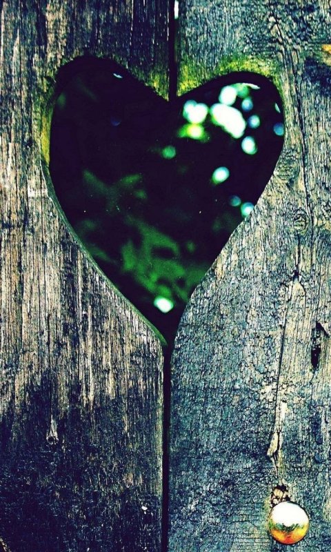 Картинки на заставку