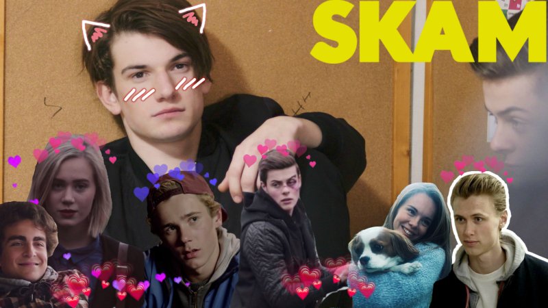 СКАМ картинка