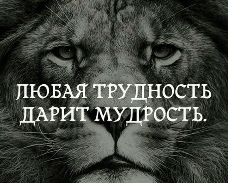 Картинки на аву со смыслом