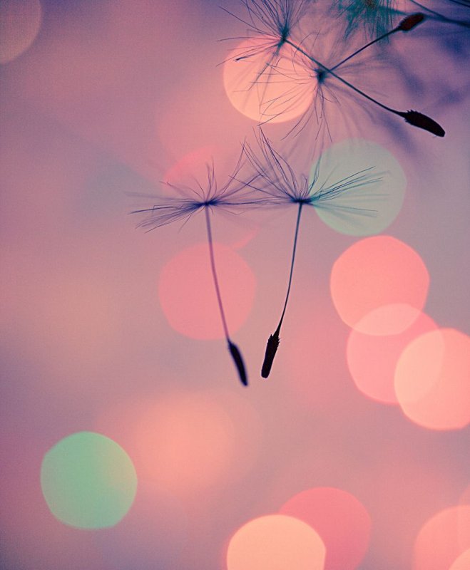 Вдохновляющая заставка