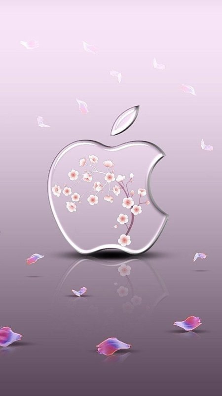 Заставки на телефон красивые