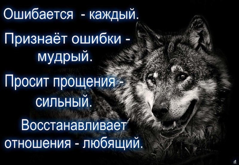 Высказывания о волках