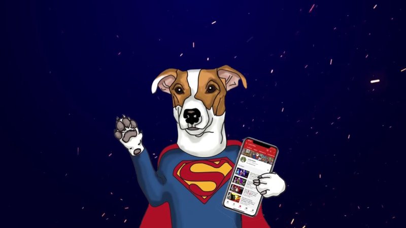 Локи бобо собака