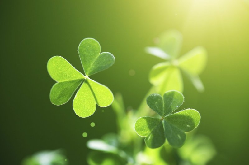 Заставки приносящие удачу