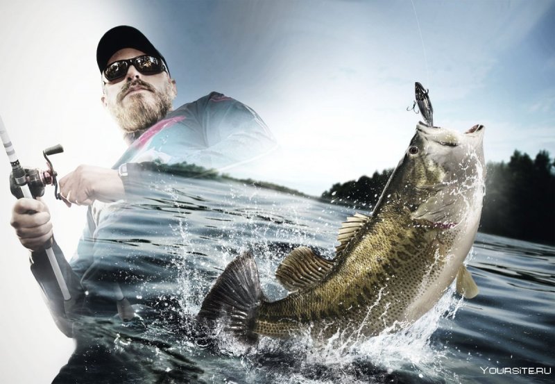 Охота и рыбалка