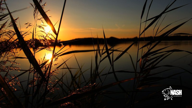 Красивая природа рыбалка