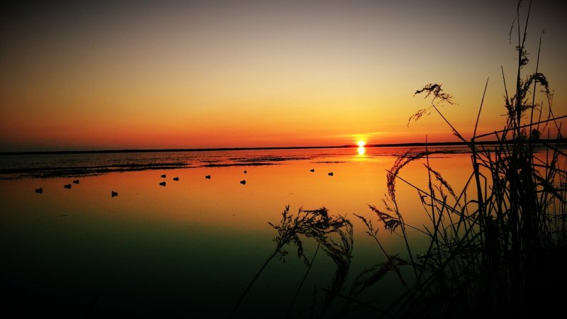 Рыбалка на закате