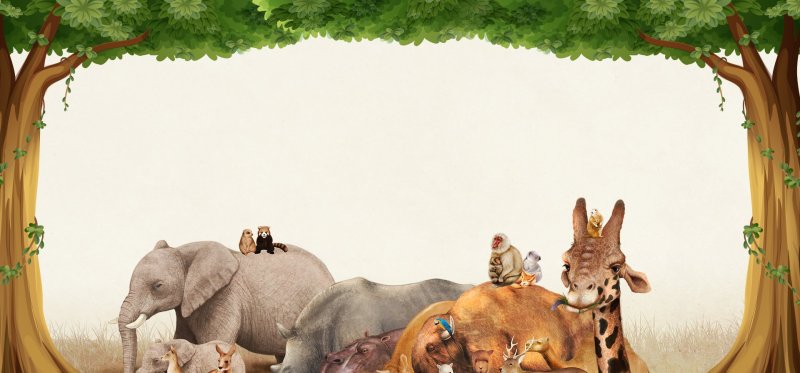 Фон для презентации животные